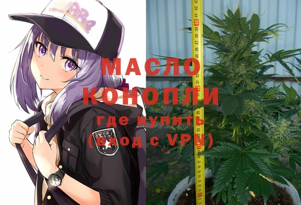 прущие крисы Каменка